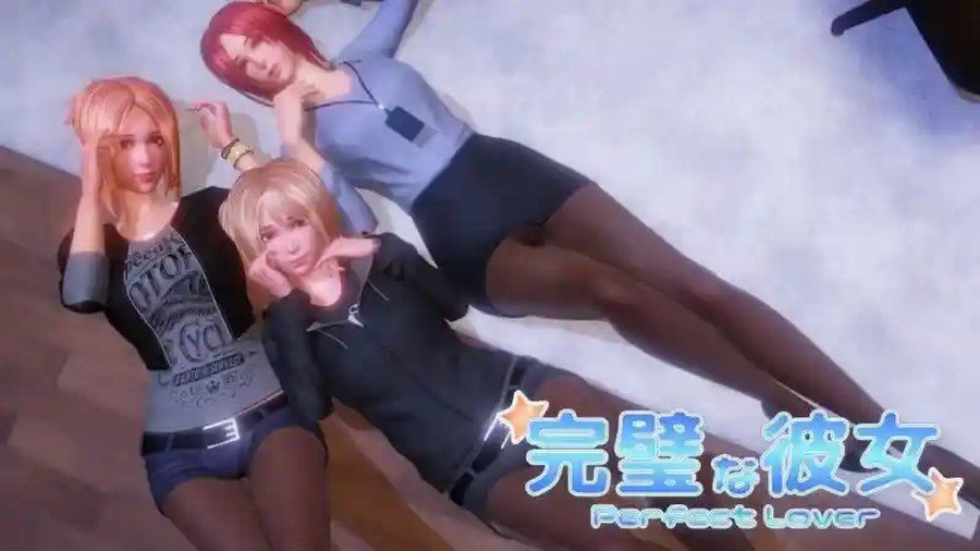 完美女友 完美女友中文版下载版本整理说明 封面图